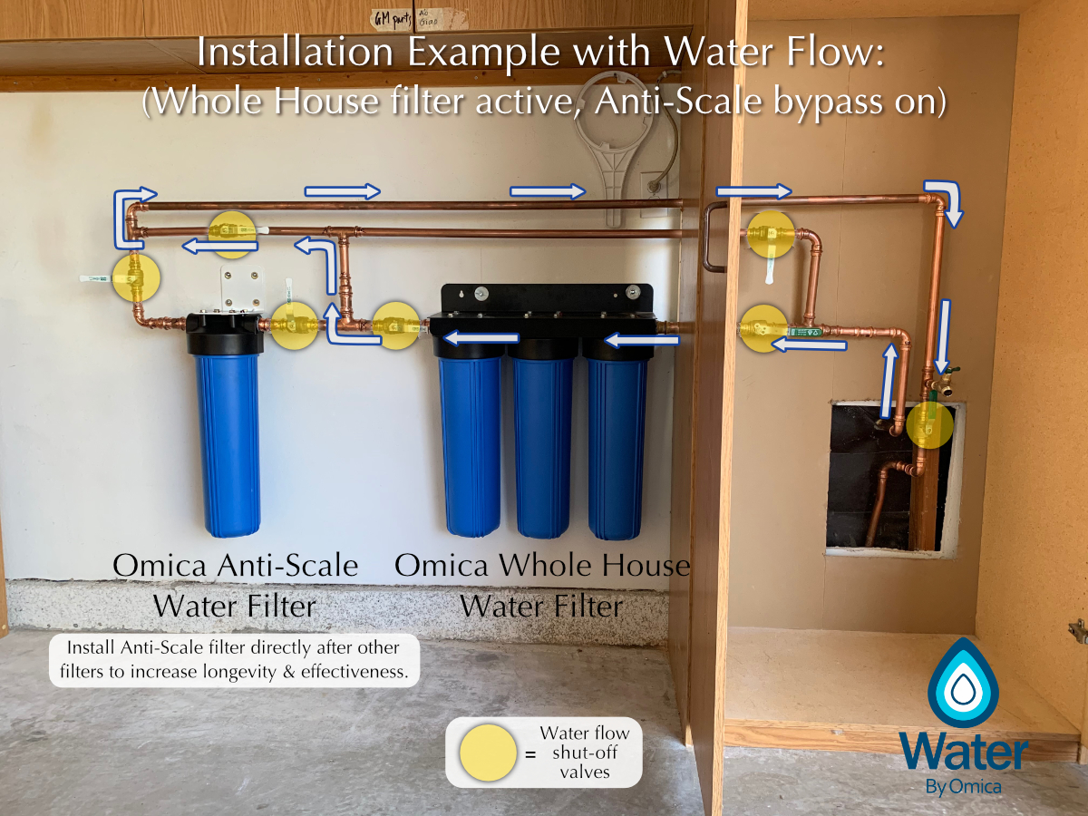 whole-house-water-filter-with-bypass-arvoredaslimonadas